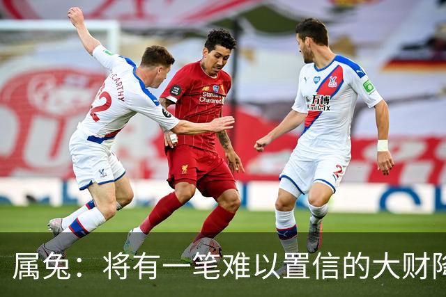 属兔：将有一笔难以置信的大财降临，2027年，你要乐开花