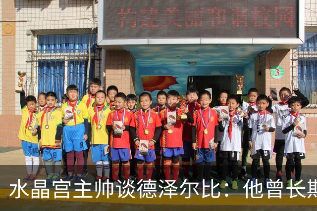 水晶宫主帅谈德泽尔比：他曾长期是我的榜样 向他学习过如何踢球