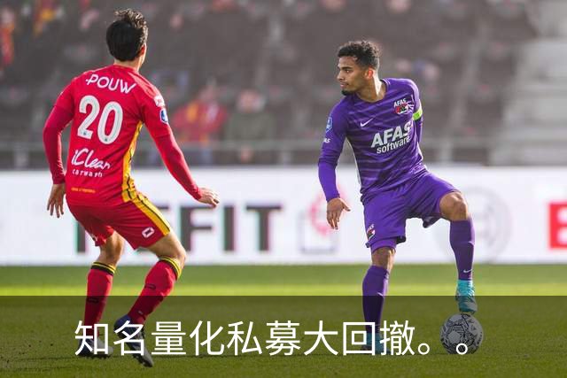 知名量化私募大回撤。。