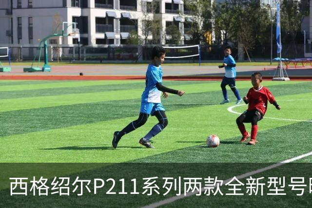 西格绍尔P211系列两款全新型号曝光 采用轻量化设计 便于日常携带